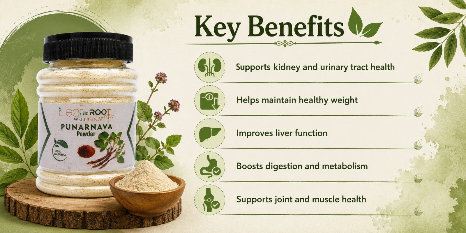 product-aplus-punarnava-powder-image