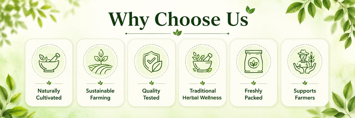 leafandroot-home-whychooseus-banner-coverv2